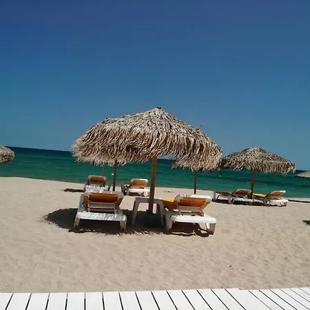 Apartment Apartament Phoenix Mamaia Nord *